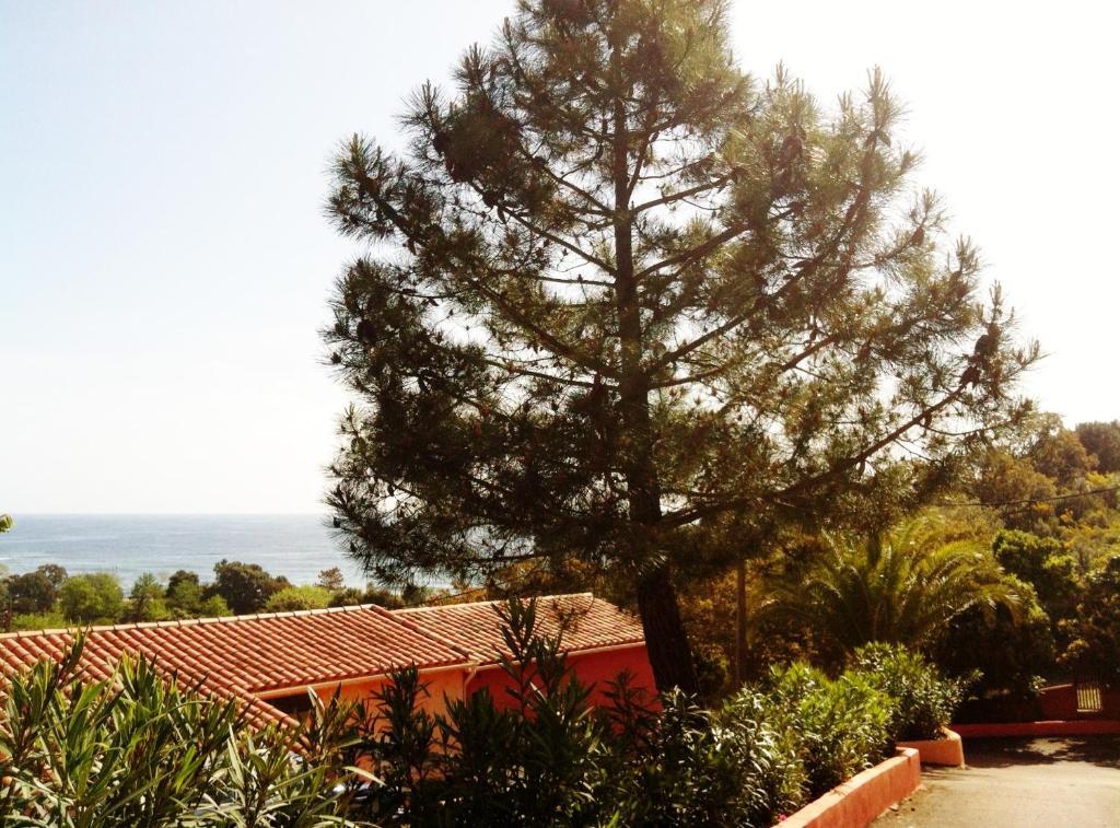 Hotel Residence San Pieru Tarcu Εξωτερικό φωτογραφία