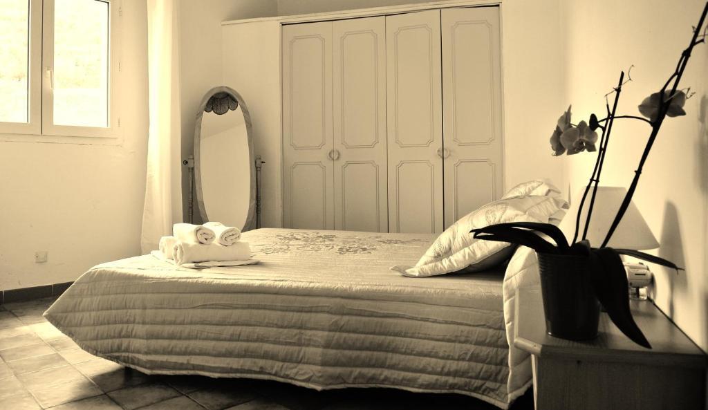Hotel Residence San Pieru Tarcu Εξωτερικό φωτογραφία