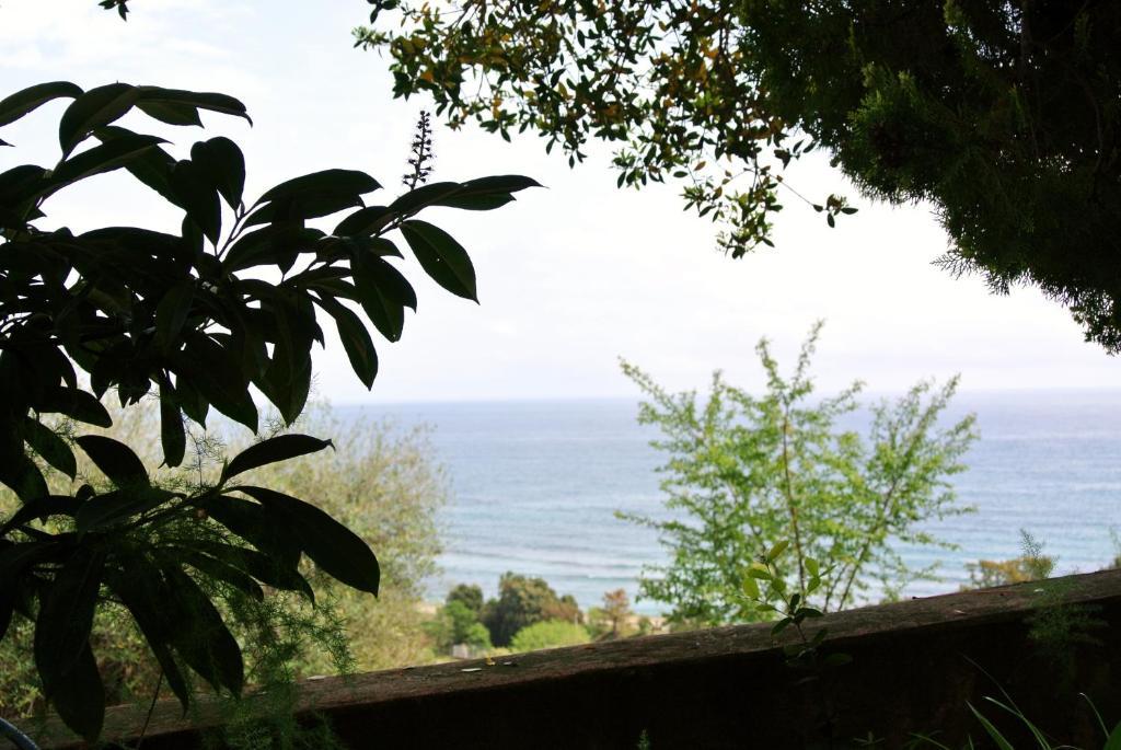 Hotel Residence San Pieru Tarcu Εξωτερικό φωτογραφία