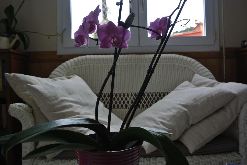Hotel Residence San Pieru Tarcu Δωμάτιο φωτογραφία