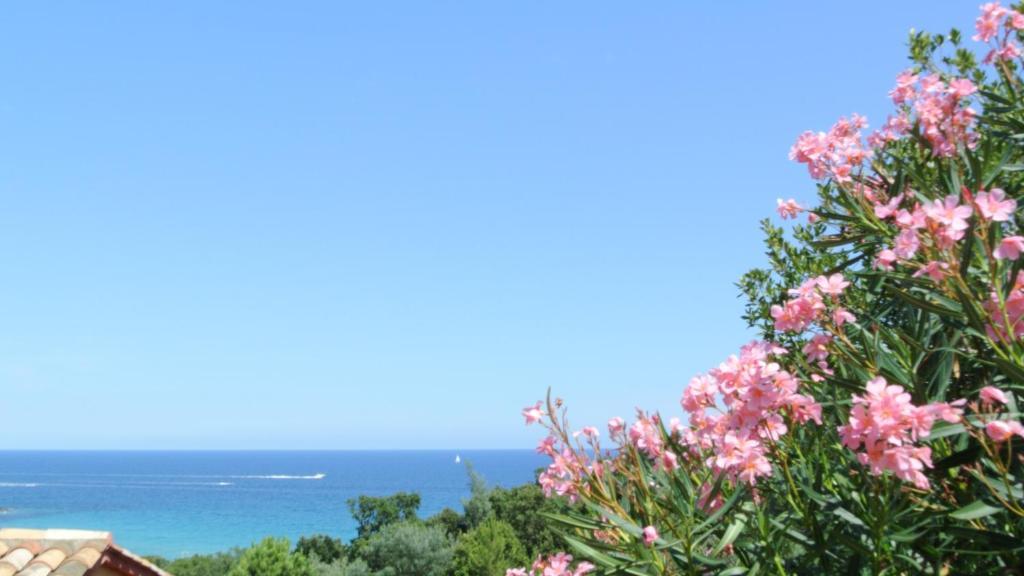 Hotel Residence San Pieru Tarcu Δωμάτιο φωτογραφία